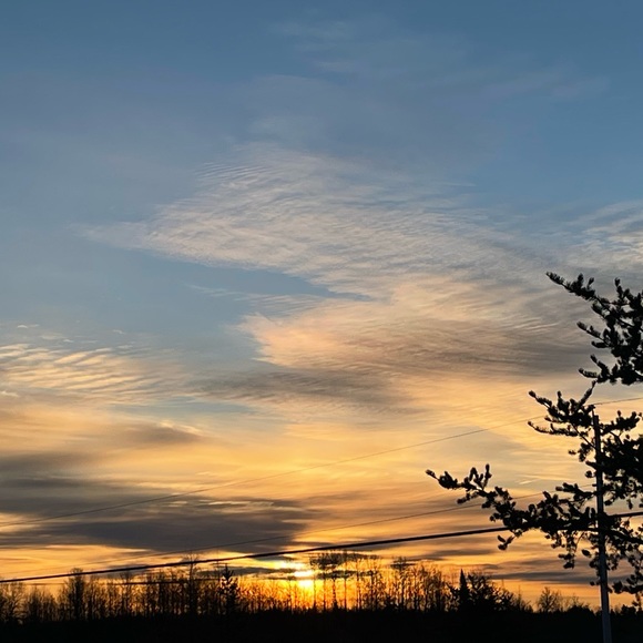 Meet your Posher, Louise - Picture 2 of 4